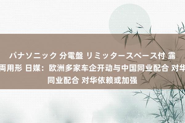 パナソニック 分電盤 リミッタースペース付 露出・半埋込両用形 日媒：欧洲多家车企开动与中国同业配合 对华依赖或加强
