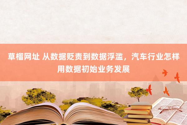 草榴网址 从数据贬责到数据浮滥，汽车行业怎样用数据初始业务发展
