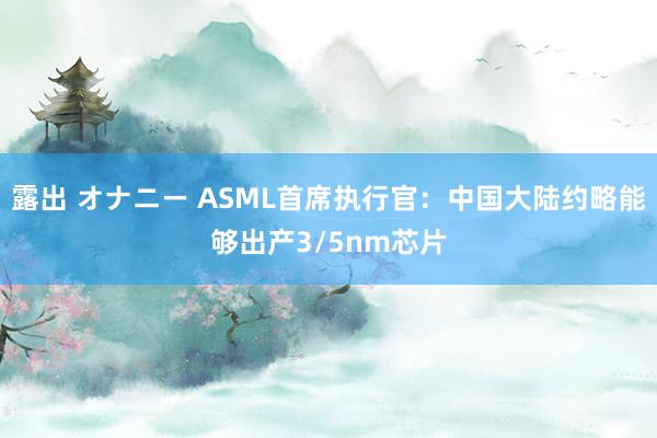 露出 オナニー ASML首席执行官：中国大陆约略能够出产3/5nm芯片