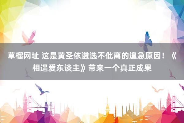 草榴网址 这是黄圣依遴选不仳离的遑急原因！《相遇爱东谈主》带来一个真正成果