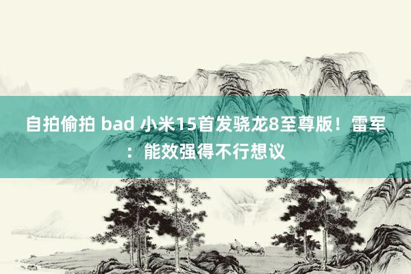自拍偷拍 bad 小米15首发骁龙8至尊版！雷军：能效强得不行想议