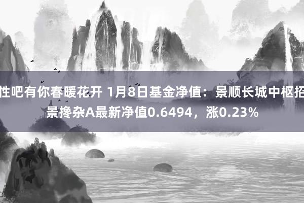性吧有你春暖花开 1月8日基金净值：景顺长城中枢招景搀杂A最新净值0.6494，涨0.23%