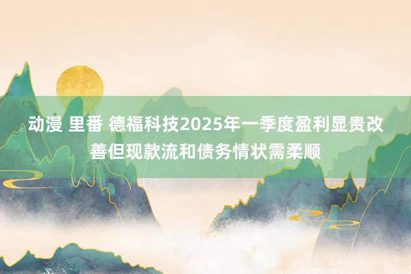 动漫 里番 德福科技2025年一季度盈利显贵改善但现款流和债务情状需柔顺